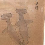 คนสมัยก่อนในยุคเอโดะได้วาดภาพปลาฉลามหัวค้อน