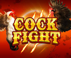 【คอลัมน์เกมเดย์-PAY69】คำแนะนำจากผู้เล่น [JDB-Cock Fight]